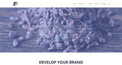 Desktop Screenshot of modulemarketing.com